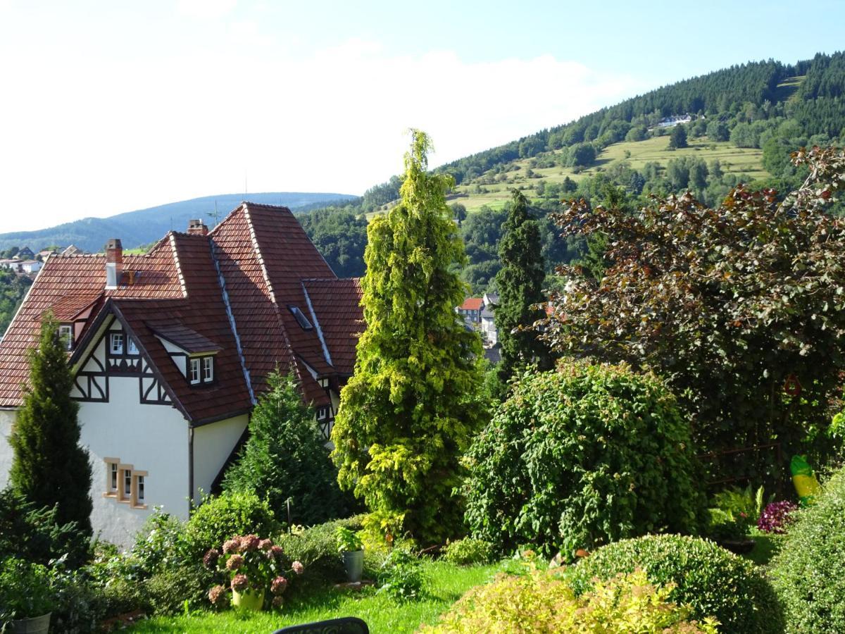 Ferienwohnung Panorama Rauenstein Luaran gambar