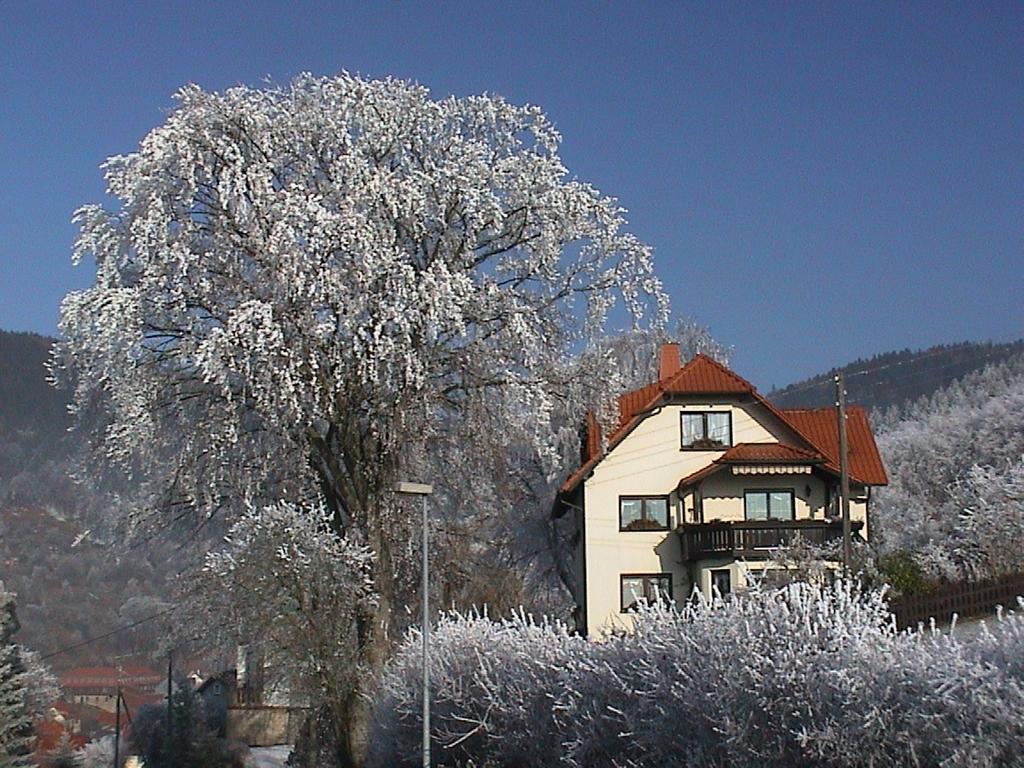 Ferienwohnung Panorama Rauenstein Luaran gambar