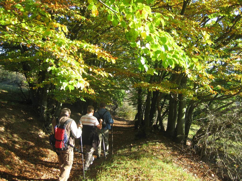 Ferienwohnung Panorama Rauenstein Luaran gambar