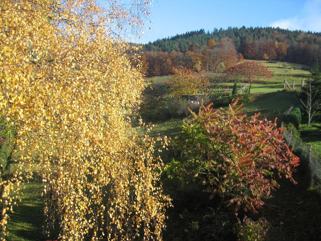 Ferienwohnung Panorama Rauenstein Luaran gambar