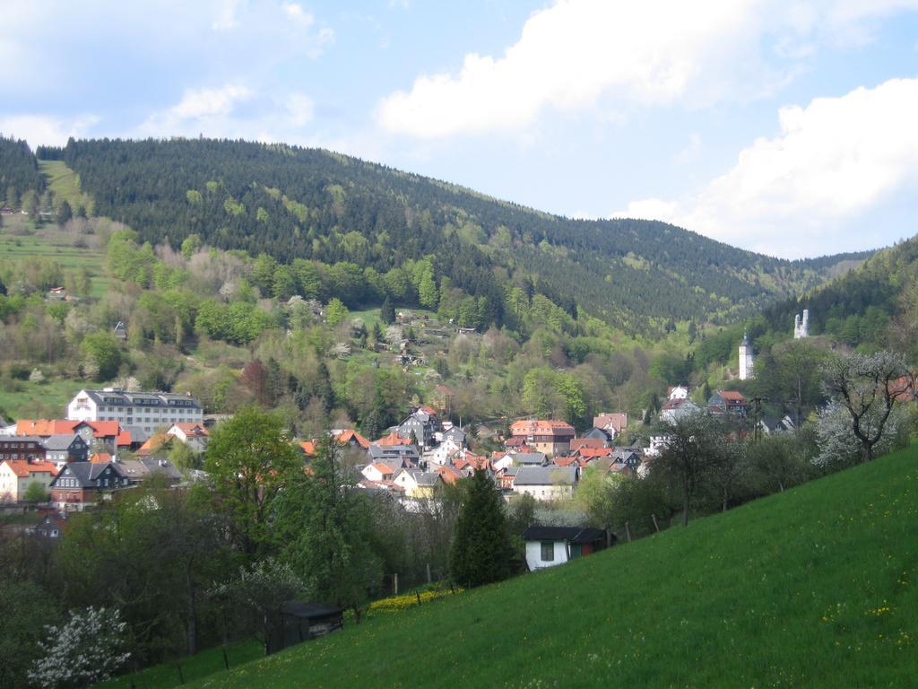 Ferienwohnung Panorama Rauenstein Luaran gambar