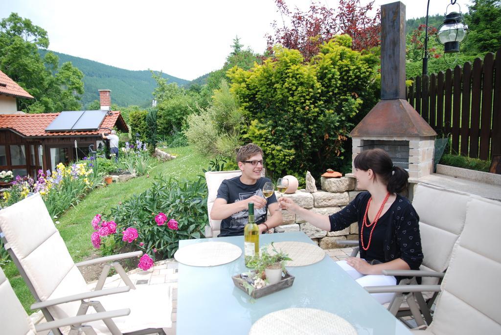 Ferienwohnung Panorama Rauenstein Luaran gambar